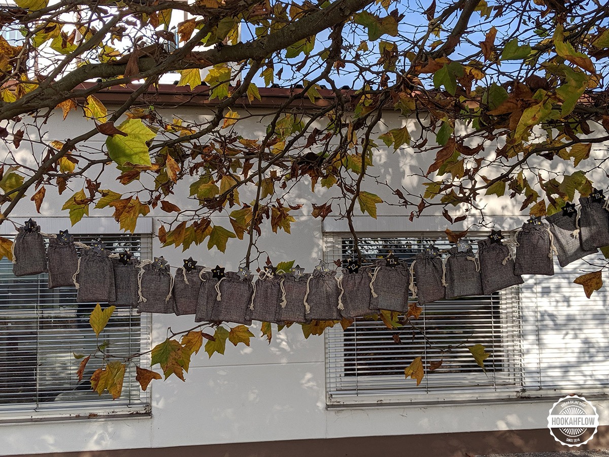 00000IMG_00000_BURST20191024152801402_COVER 00000IMG_00000_BURST20191024152801402_COVER