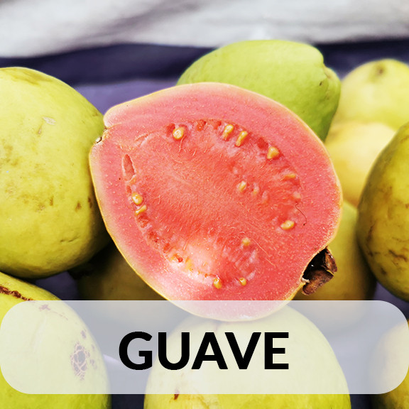 Guaven Tabak